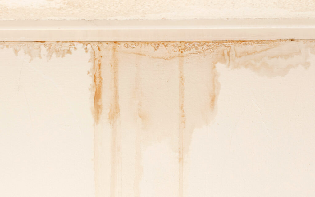 Water damaged ceiling and wall white becoming brown. 