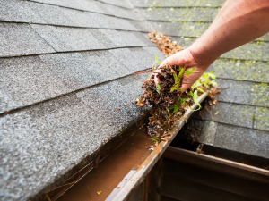 hagerstown roof repair tips