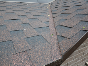 Roofing Inspection by Complete Builders in Saint James